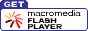 flash_get_20010813.gif